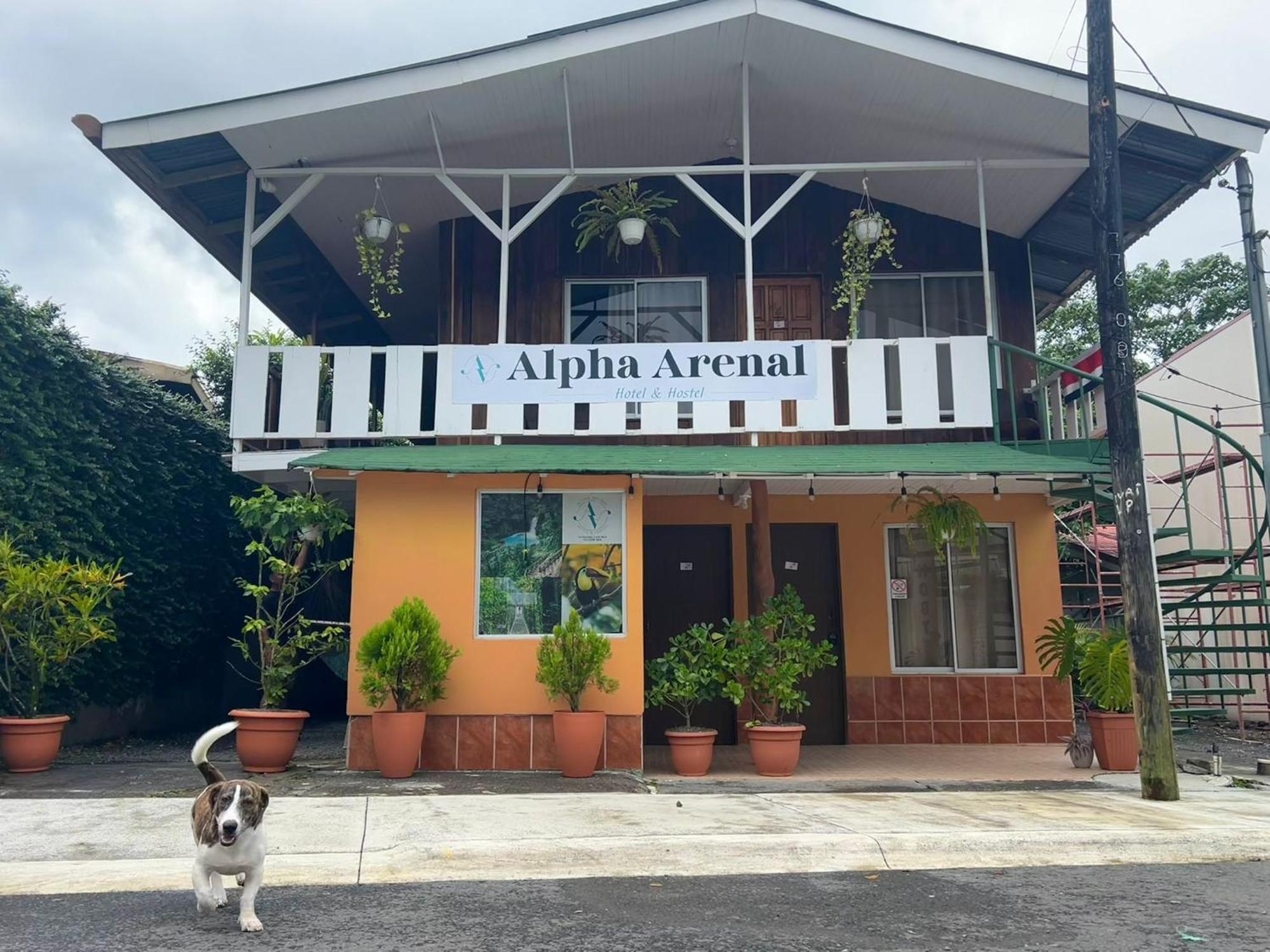 Хостел Alpha Arenal La Fortuna Екстер'єр фото